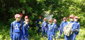 IMG_20250528_121002_375