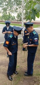 IMG_20250603_121018_375